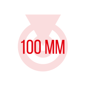 100 mm