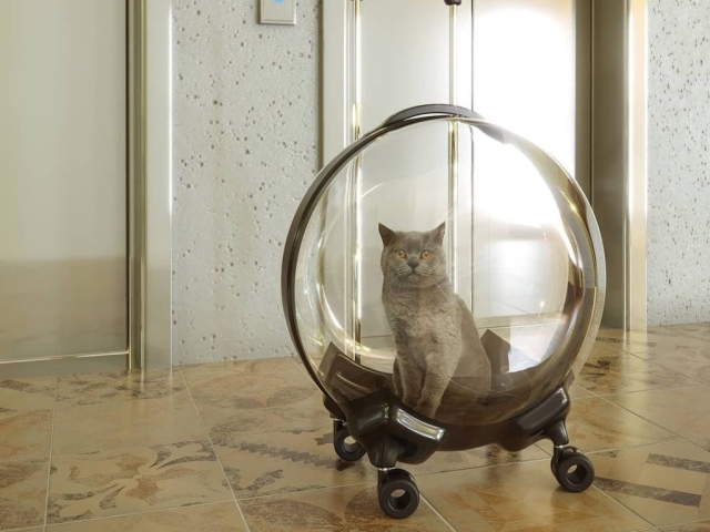 Rueda de diseño KOO 60 de Robby instalada en objeto para gato.